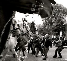 Protest! by elisabeth tainsh
