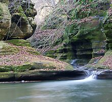 Illinois Canyon Waterfall by Richard Williams