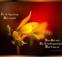 IN THE BEGINNING... by Jael