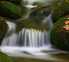 MOUNTAIN STREAM,AUTUMN by Chuck Wickham