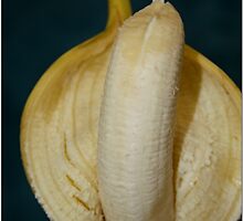 Unsheathed by Chet King