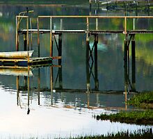Tinny on the Tamar by Ruth Durose