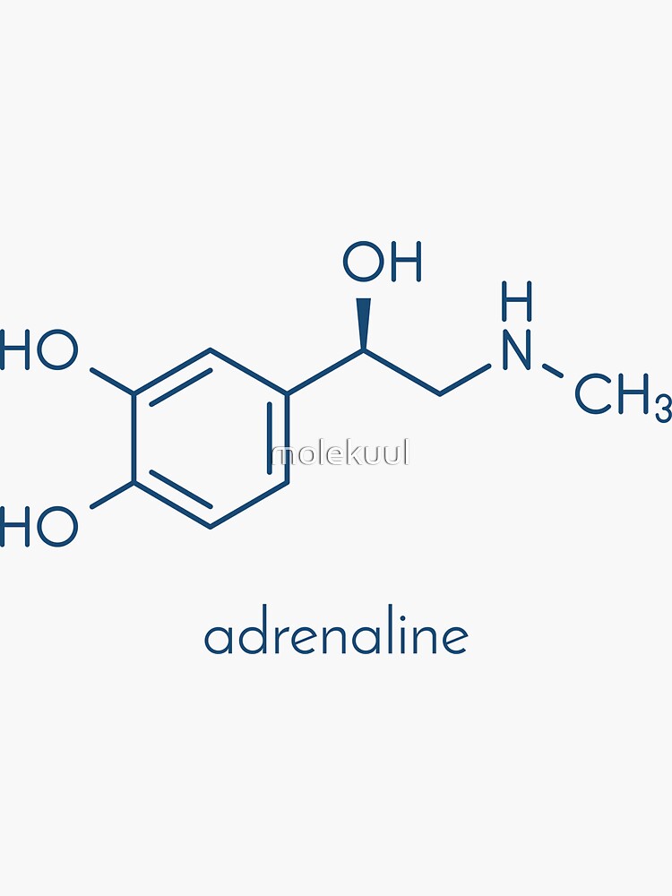 Adrenaline Adrenalin Epinephrine Neurotransmitter Molecule Sticker