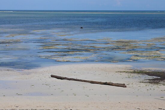 Shelly Beach Mombasa