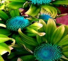 A Promise Of Spring by Carla Jensen