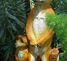 Mum and Baby Meerkat by Alex Gardiner