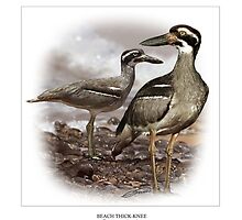 BEACH THICK-KNEE #1 by DilettantO