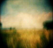 These Last Days by iamsla