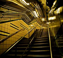 9th Street Path by micpowell