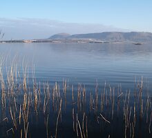 Still Waters by Adamdabs