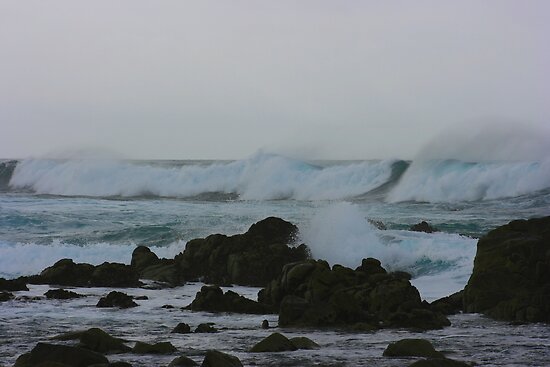 California Monterey Bay