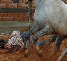 And the little mare wins this round .... by ShannaB