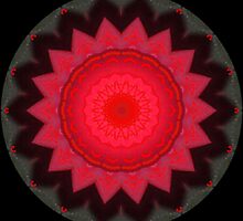 HOT FLASH! by Dayonda