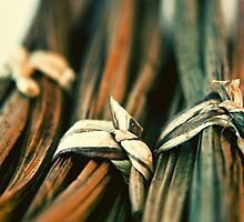 Knots by Purplecactus