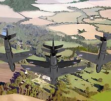 The Black Arrows: Hawker Hunters of 111 Squadron by coldwarwarrior