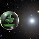 Precious Life by Robert Burton