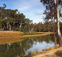 Edward River at Deniliquin by Darren Stones