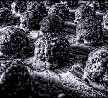 Alien Hatching Pods by Demoshane