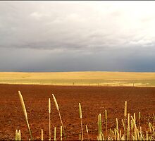 On Jamestown to Spalding Road by pfleur