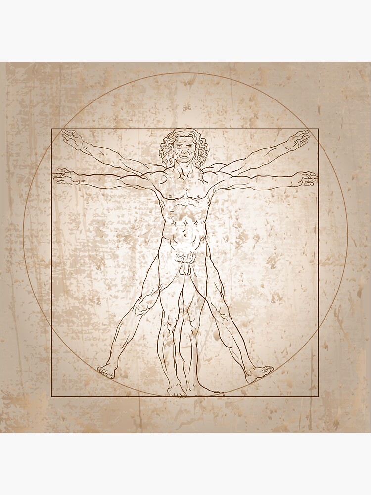 Cartoon Vitruvian Man Sticker For Sale By Dator Redbubble