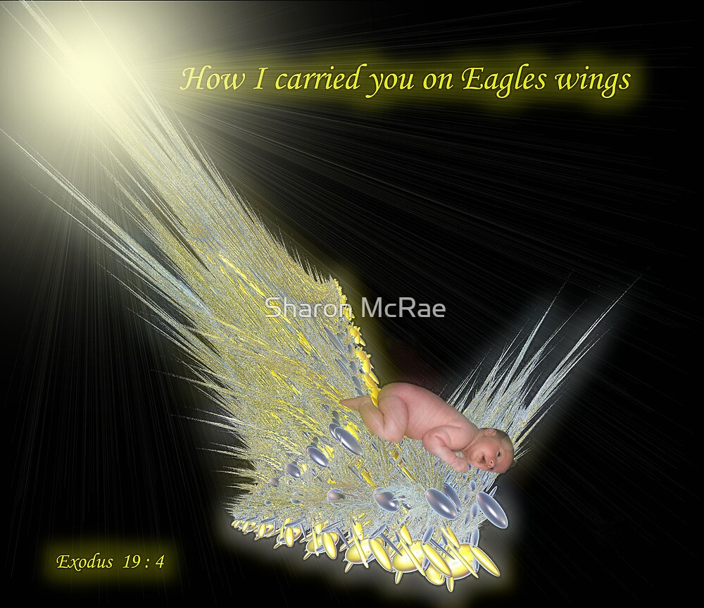 "How I carried you on Eagles wings" by SharonD Redbubble
