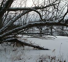 Where is the Edge,, by linmarie