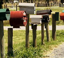 letterboxes by Deb Gibbons