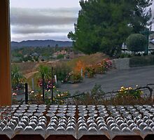 Temecula Vineyard wine tasting room by milton ginos
