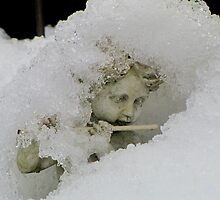 Still playing the flute by Hans Bax