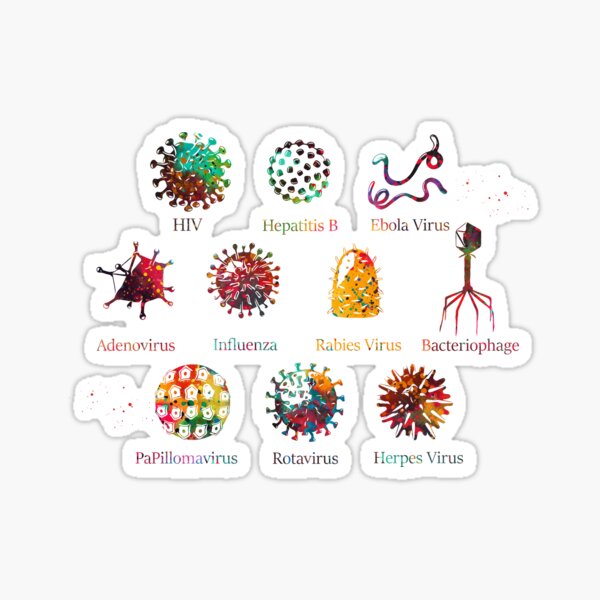 Diagram Showing Different Kinds Of Viruses Sticker For Sale By