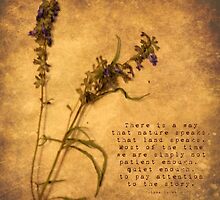 Nature Speaks Volumes by Tia Allor-Bailey