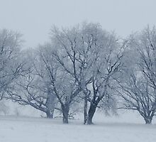The Brink of the Fog by Atreju Hood