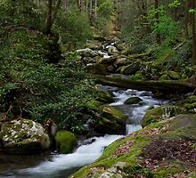 The Roaring Fork by Gary L Suddath