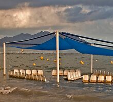 After the Storm by DIANE FIFIELD