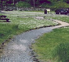 The Long and Winding Road by LaurenP
