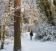 I Wandered Lonely as a Snowflake by DonDavisUK