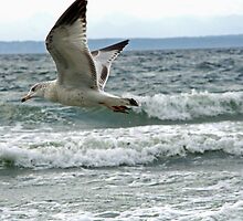Close Fly By by starlitewonder