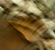 Fallen #01 by LouD
