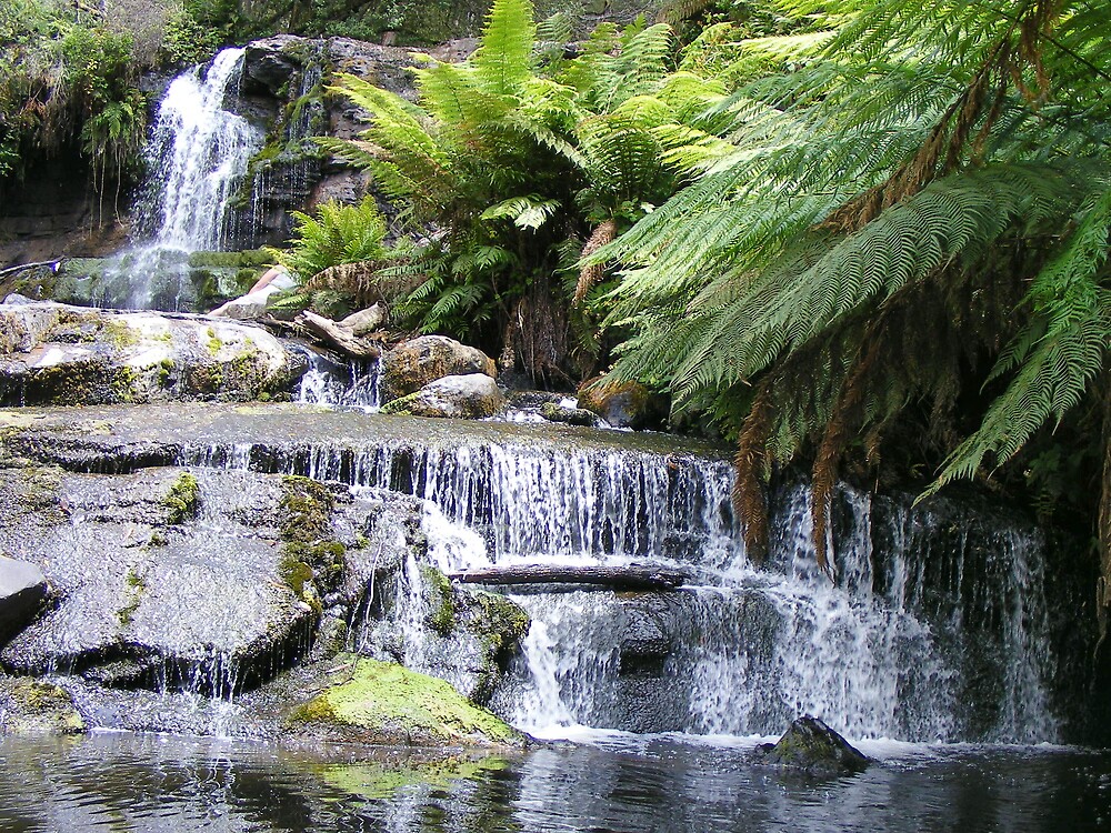 "Forth Falls Wilmot (Tasmania)" by gaylene Redbubble