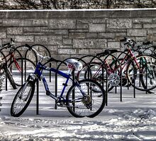 Bike Rack by Terence Russell