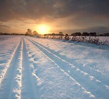 Following the Farmer by Andrew Leighton