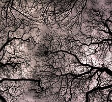 Gloom by Matthew Bjorklund