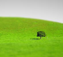 lonely tree by russtokyo