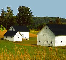 Leelanau Barn by Bob Fox
