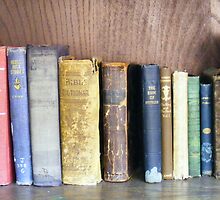 Old Volumes by raindancerwoman