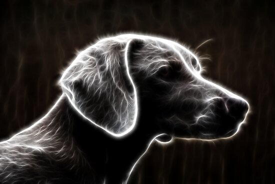 Fractalius Weimaraner by Britta D ll