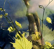 Morning Light (from my exhibition) by Antanas