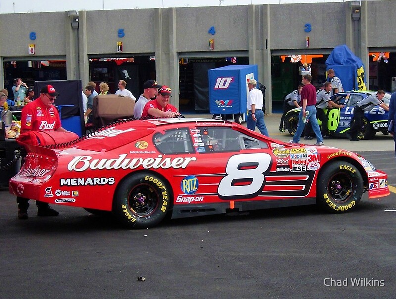 "Dale Earnhardt Jr. NASCAR Budweiser" By Chad Wilkins | Redbubble