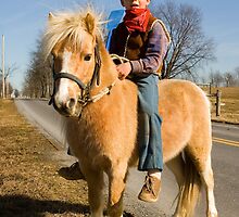 Giddy Up, Partner! by Mark Van Scyoc