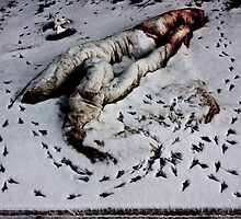 Carpet by Mark Coward